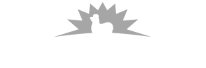 c_matinados